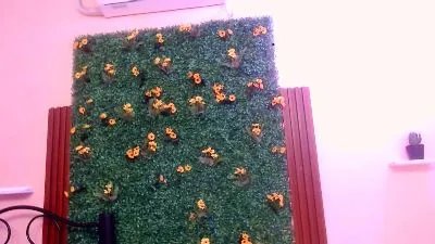 lunasexgirl69 —  #fisting #anal #C2C #squirt #bigass #feet #ass