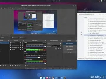 yellowsnakes on Chaturbate 