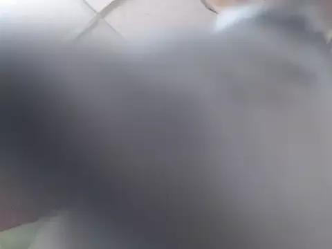 __MeiMei__ on StripChat 
