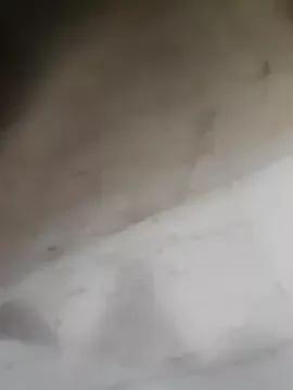 Anna_jing on StripChat