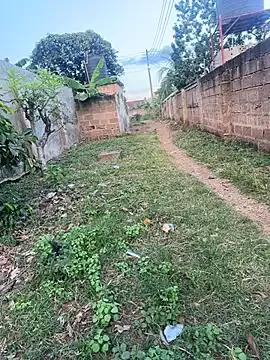 Black-mamba-madingo on StripChat