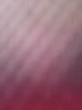 Dropdingo — Help me get a car please  