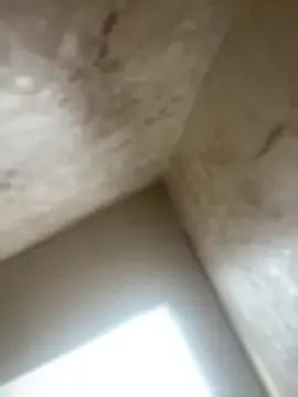 Freechat Nikki_Nyx on StripChat