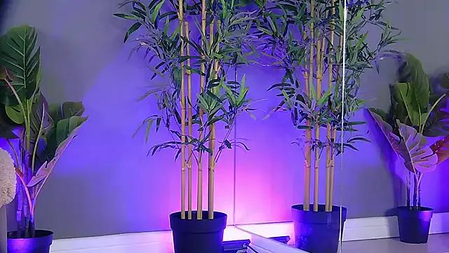 StripChat PatriciaSpice  is Freechat  PatriciaSpice — Sloppiest BJ