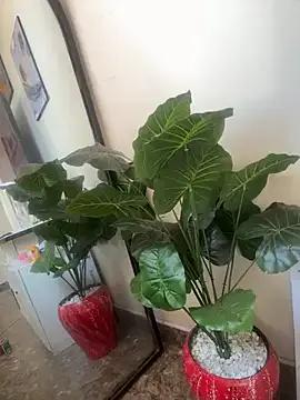 Savage_baby on StripChat 